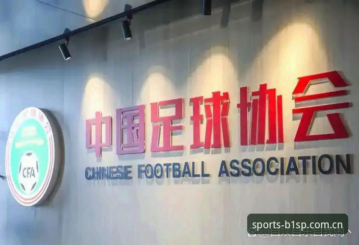 足协第三批禁足名单公布：17人终身禁赛，48人遭重罚的5大看点